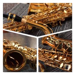NEW teacher recommended gold lacquered alto saxophone