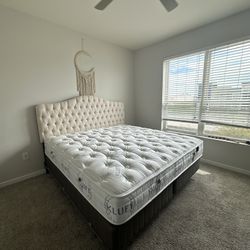 Kluft Imperial King Mattress + Full Set – Rare Find 