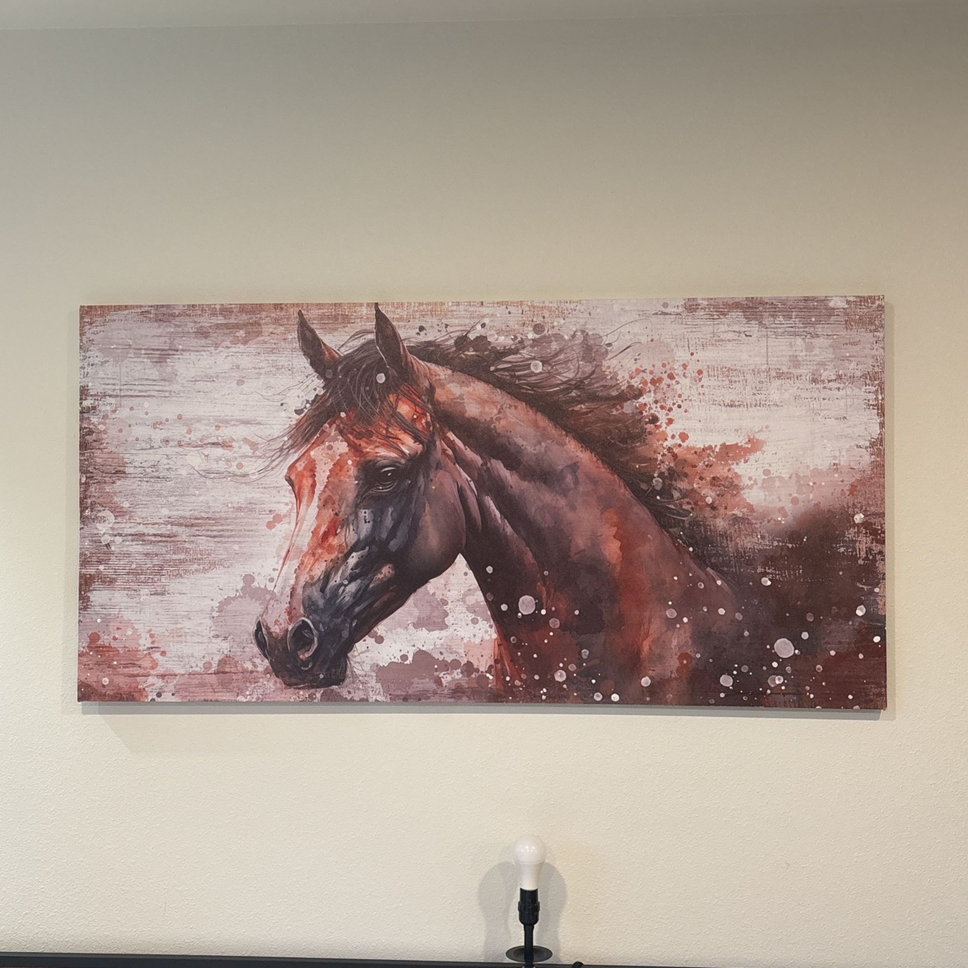 Beautiful Horse picture!