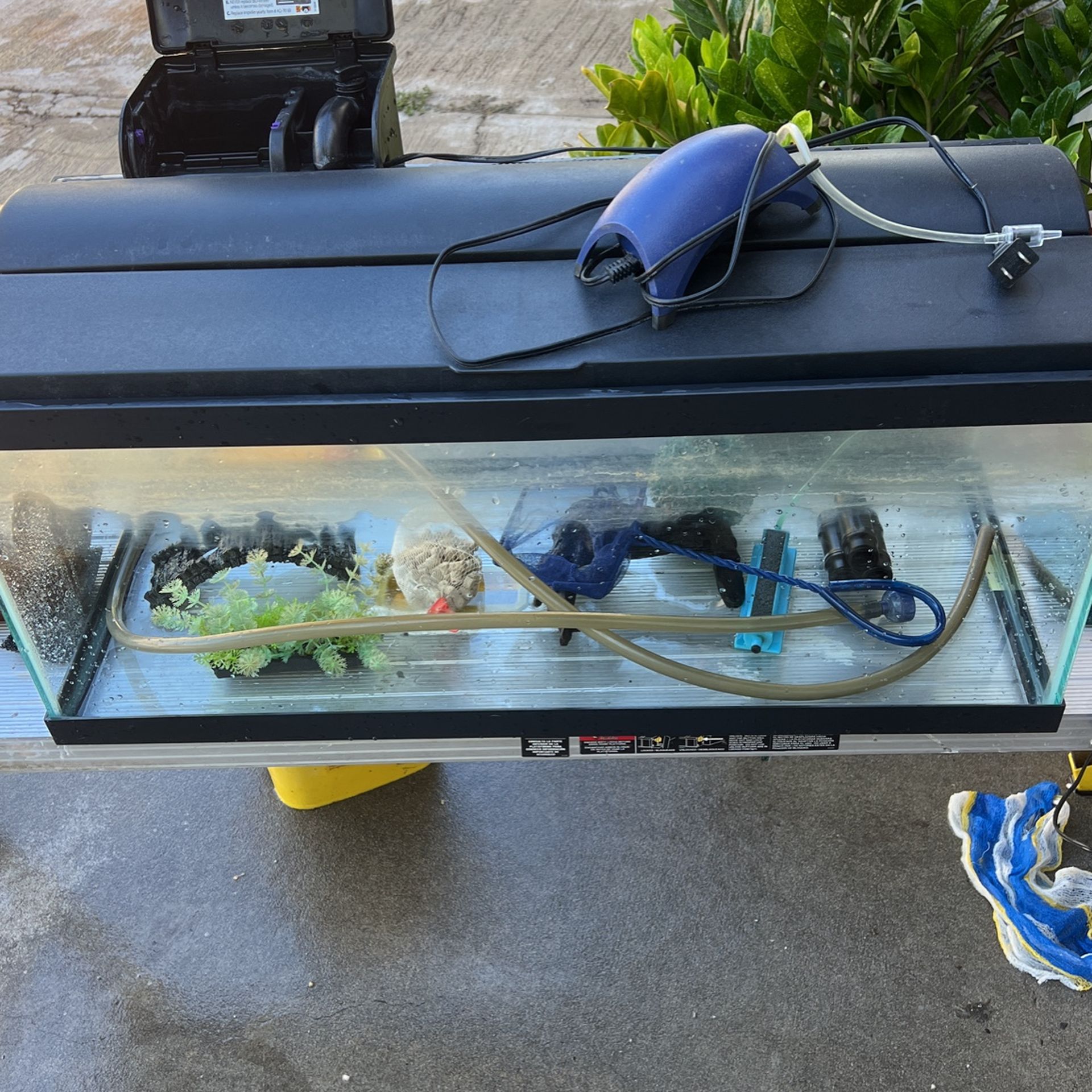 Fish Tank