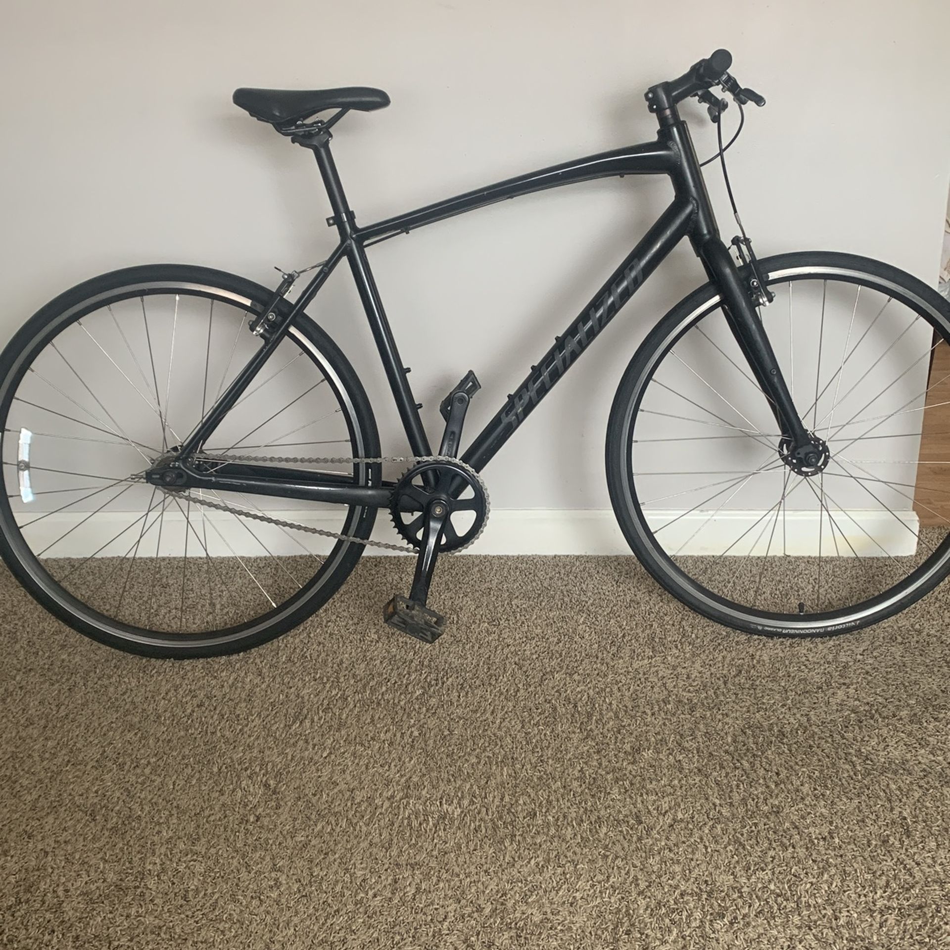 Single Speed Bike. And An E-bike