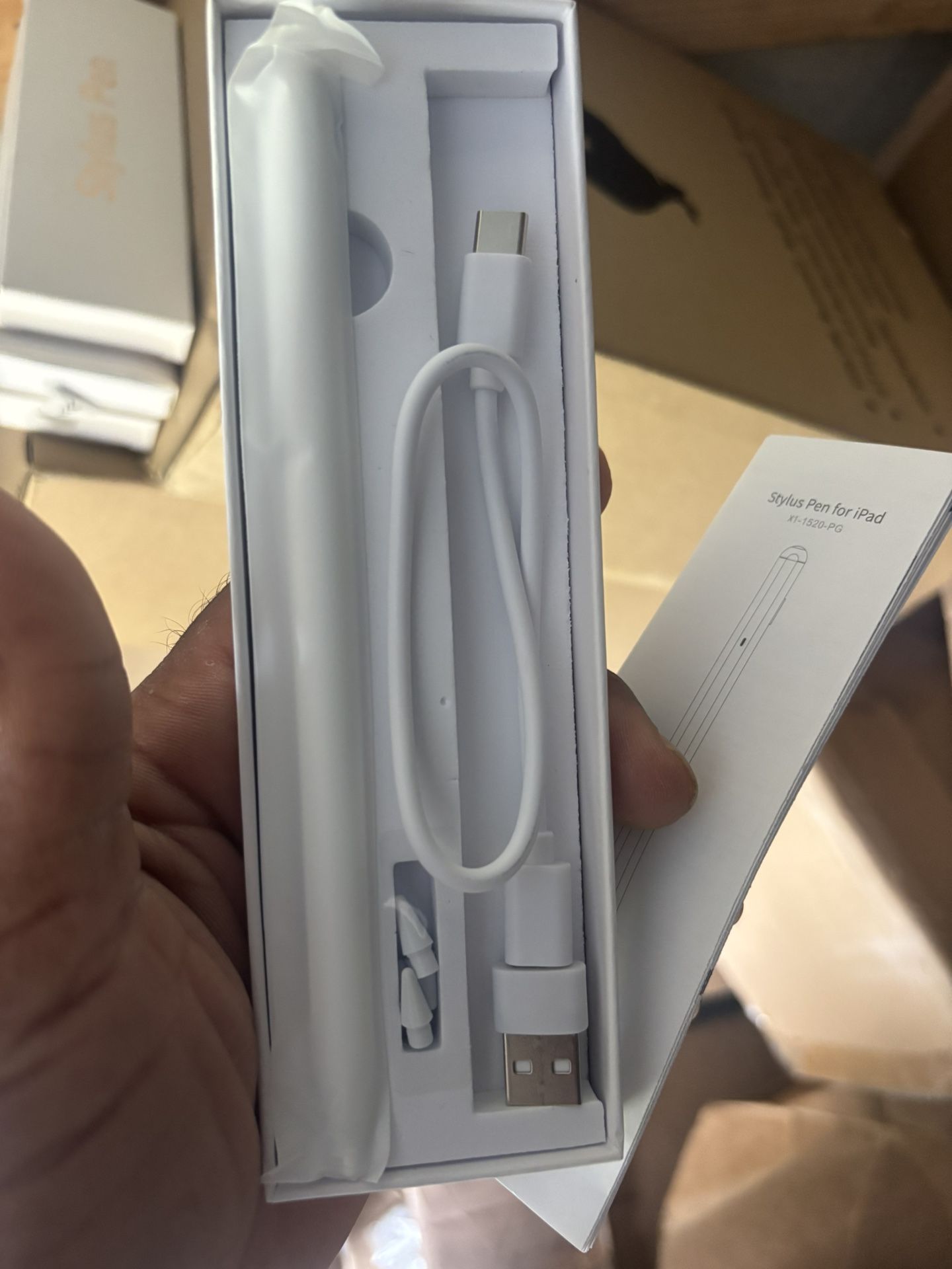 iPad Pen