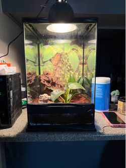 10x10x12 terrarium