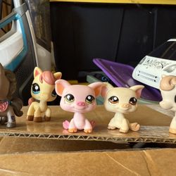 Pigs And Horses Littlest Pet Shop 