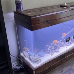 ⚡️$650/obo TankOnly⚡️SeaClear System II 100-Gallon Saltwater/Freshwater Acrylic Aquarium Wet/Dry Filtration (60"L x 18"W x 20"H)⚡️Pickup/CashOnly⚡️