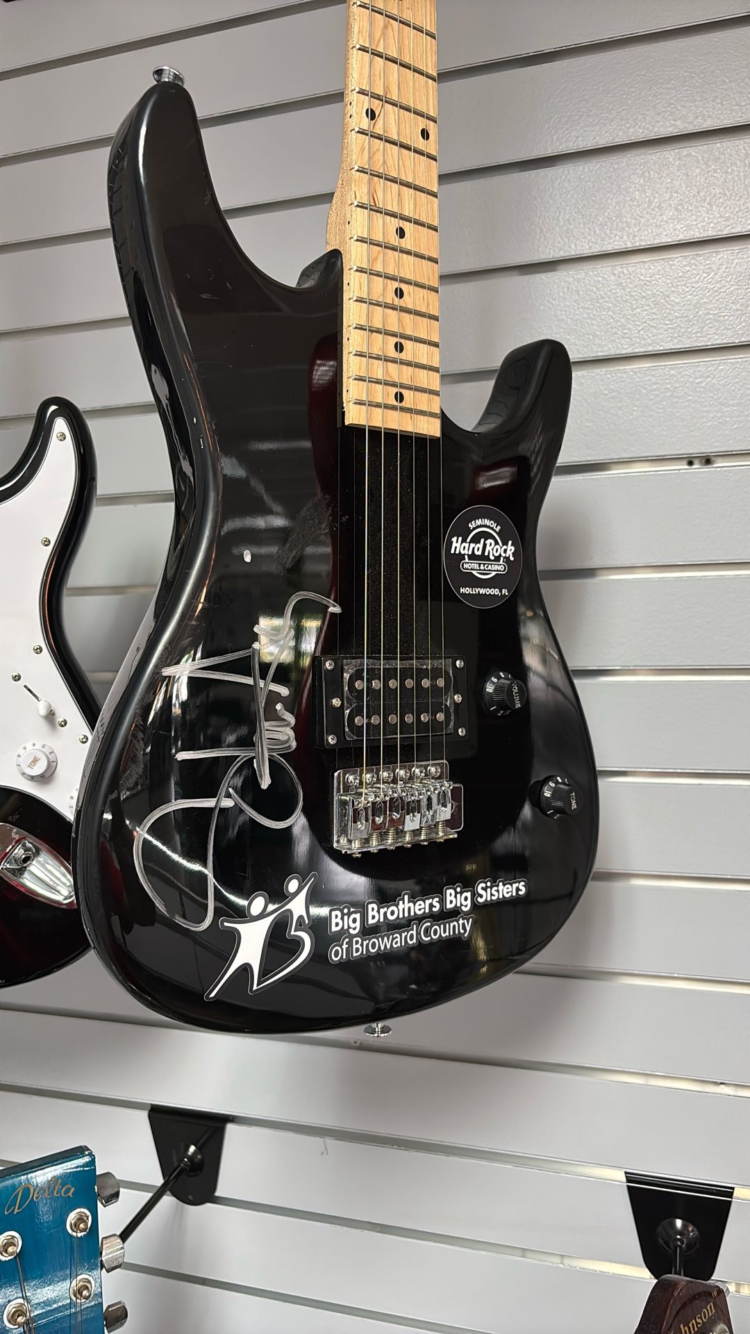 Bguitars Viper GE93