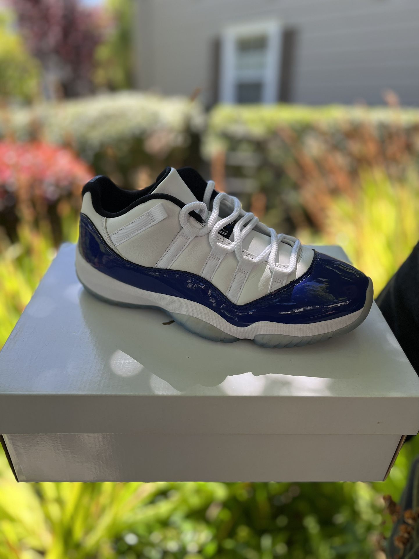 JORDAN 11 RETRO LOW CONCORD
