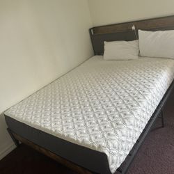 Cocoon Queen Mattress 