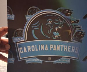Carolina Panthers 3D Lenticular Poster 16x12