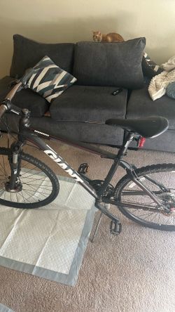 M Giant roam 1 bike