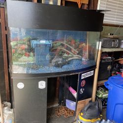 75 Gallon Aquarium 