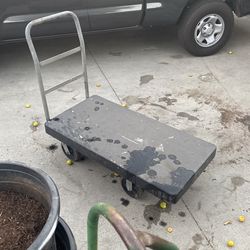Cart (2’ x 4’)
