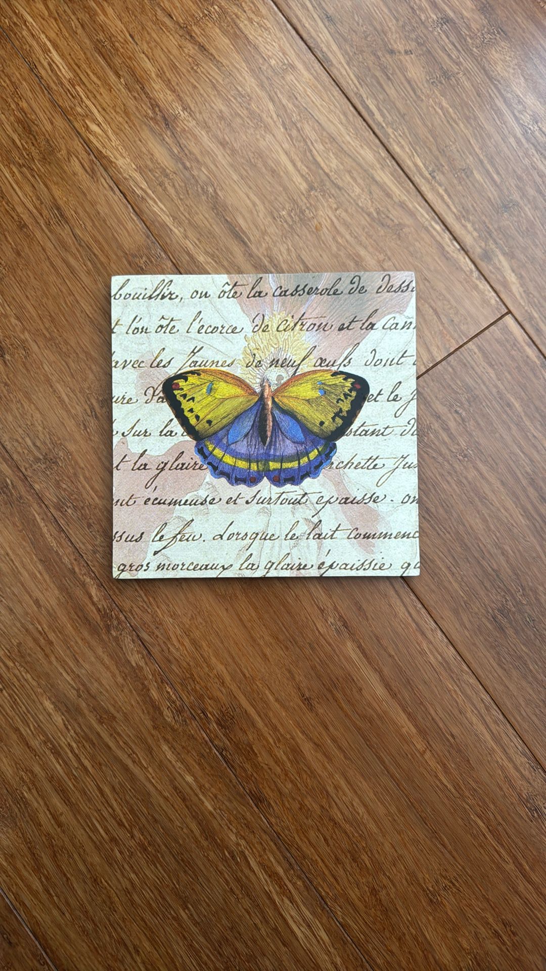 Butterfly Decoration