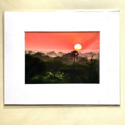 Photograph- Sunset in Africa