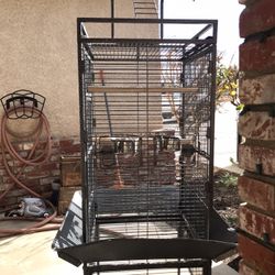 Bird Cage