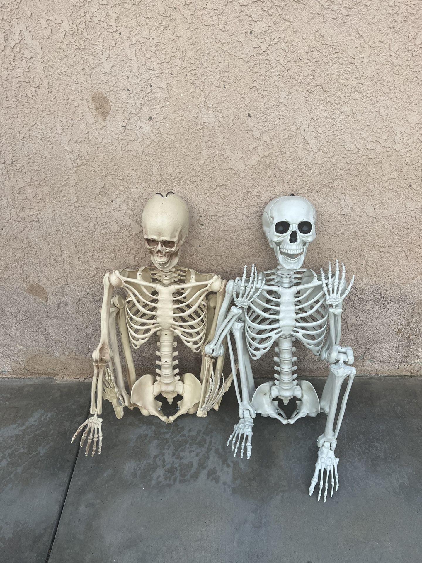 Halloween Decoration