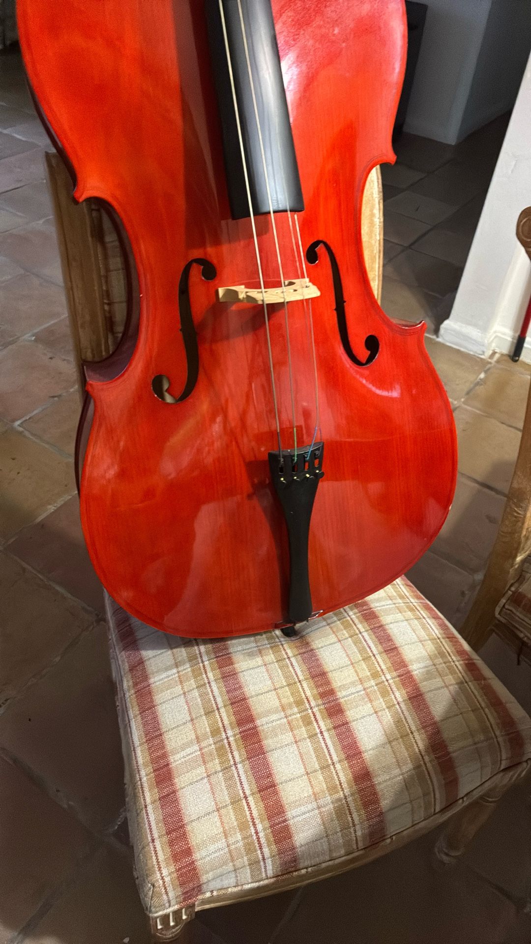  Cello 48 Inches Cecelio Brand