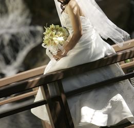 Beautiful David’s Bridal Dress LV