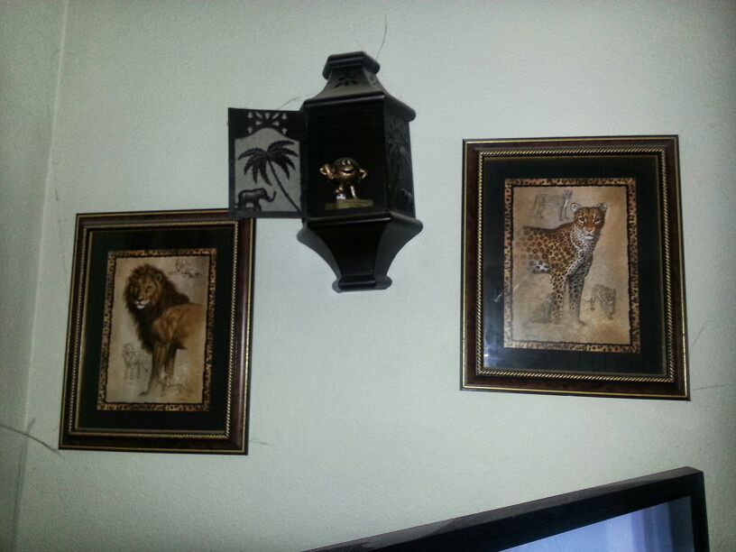 Two pictures lion leopard