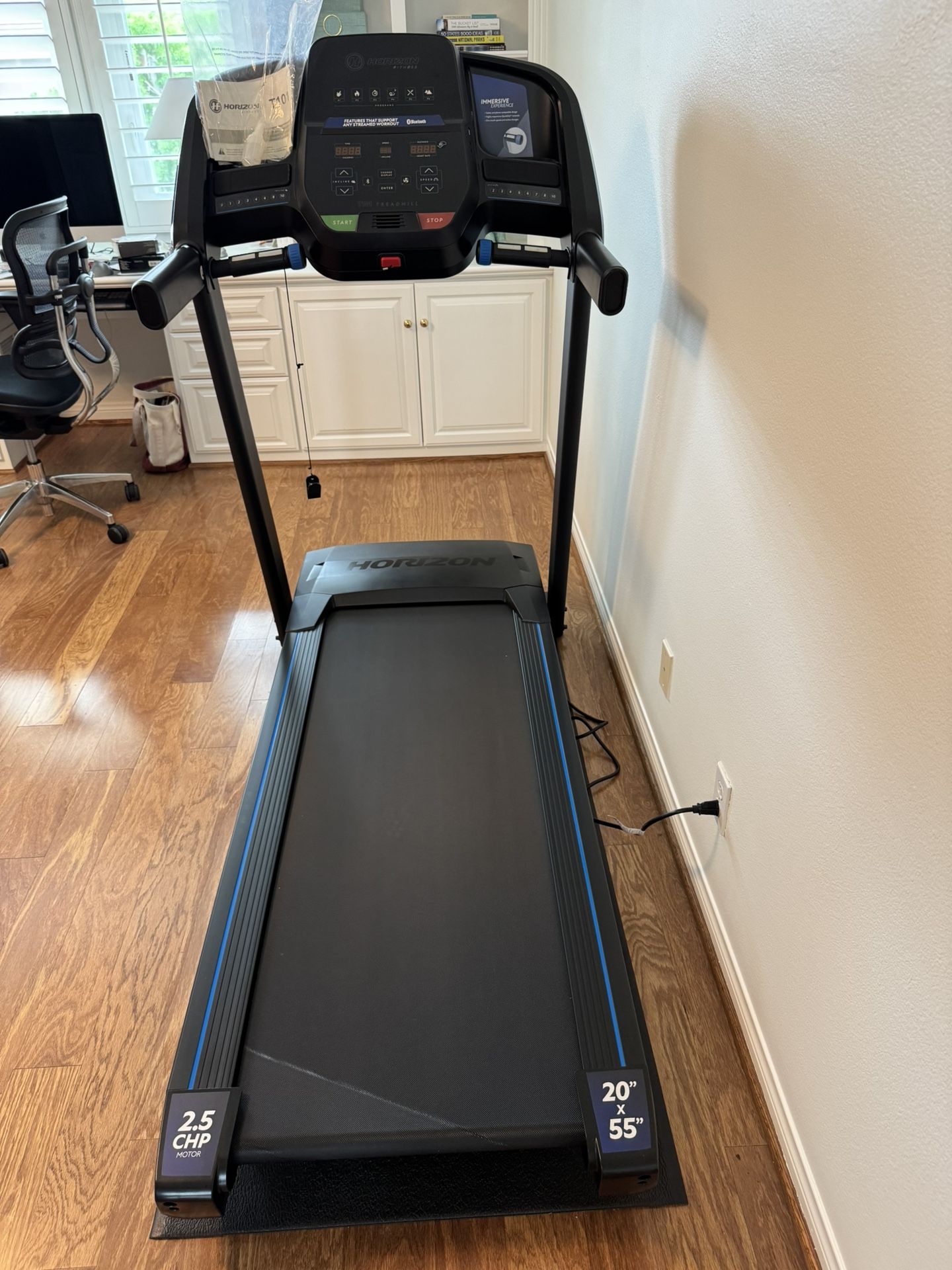 Horizon T101 Treadmill
