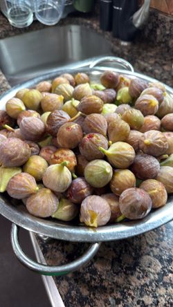 Organic home grown Fig