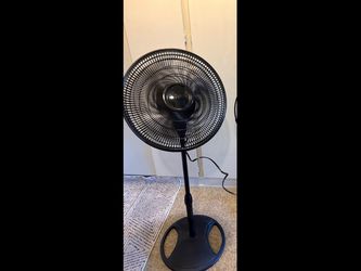 Fan