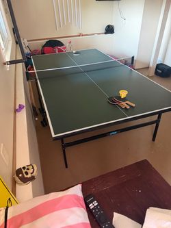 Ping Pong Table