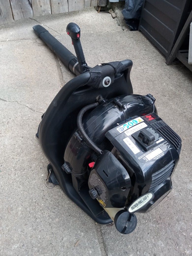 Craftsman Backpack Leaf Blower (205 MPH Airspeed)