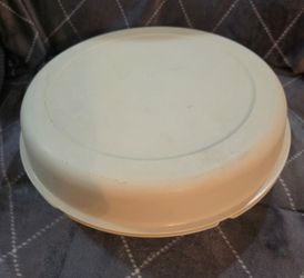 Tupperware tray