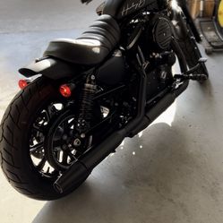 2020 Harley Davidson Sportster 883
