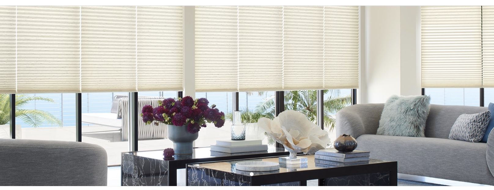 Hunter Douglas Duette Honey Comb Shades, Birch Bark