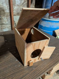 Heavy Duty Cockatiels Nests For Breeding Casas Nidos Para Cacatúas