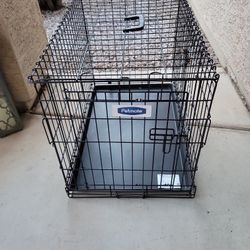 Metal Animal Crate San Tan Valley 