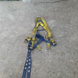 Harness