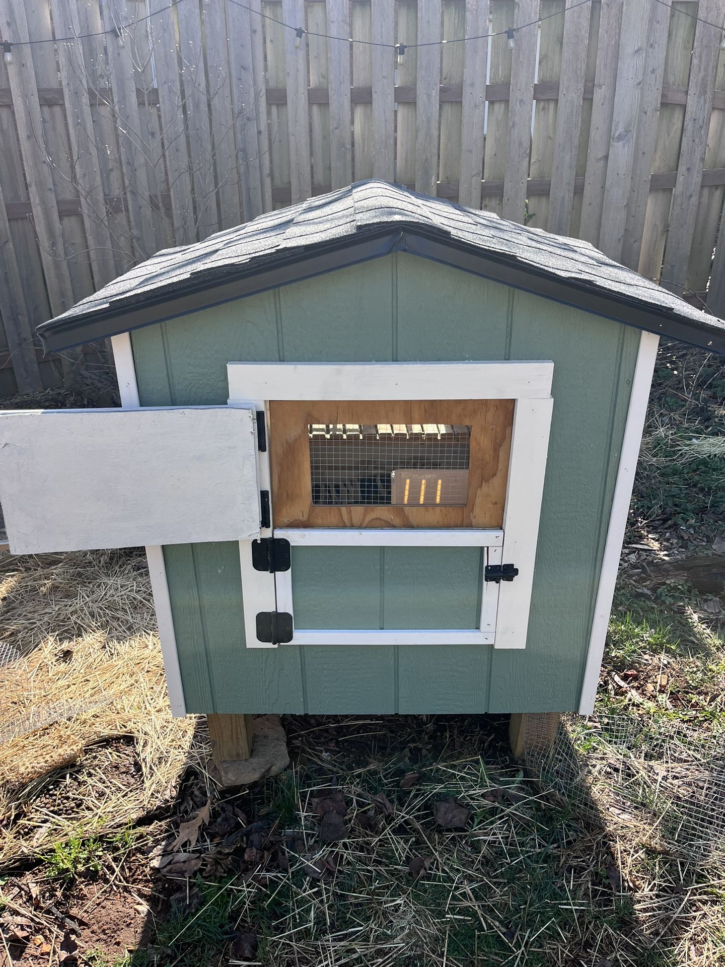 Rabbit Hutch