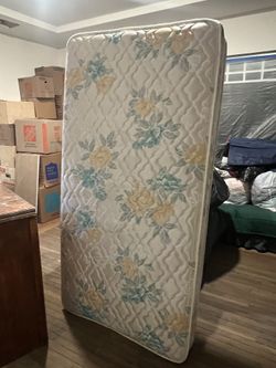 Twin Mattress And Box Spring 
