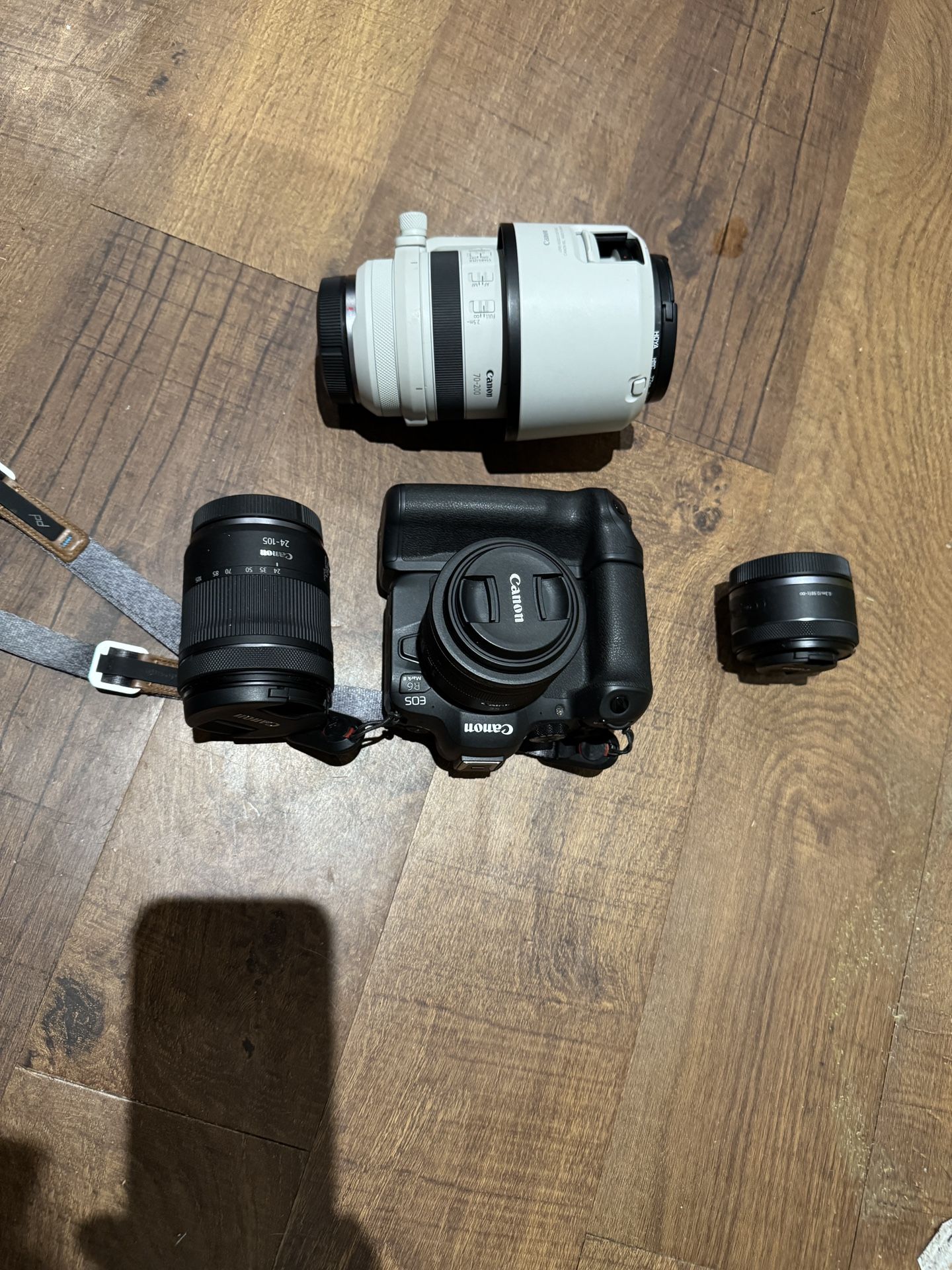 Canon R6ii With Lenses