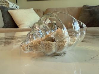 Glass Seashell Coastal Décor with Sand & Shells – 6” x 4