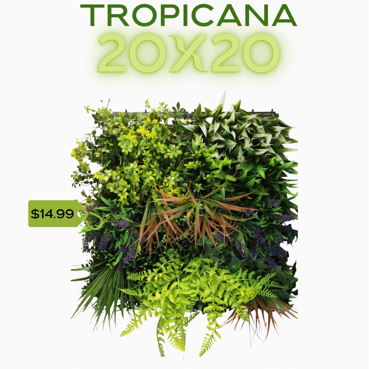 Ivy Tropicana 20x20 Panels 