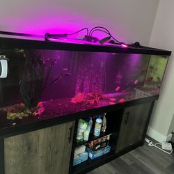 125 Gallon Aquarium With 2 Canister Filters
