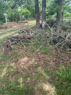 Firewood