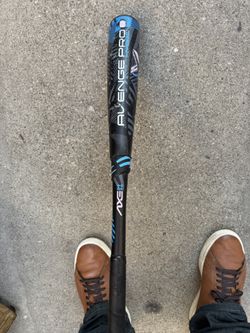 Baseball Bat