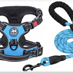  Dog Harness and Leash Combo, Escape Proof No Pull Vest Harness, Medium Blue