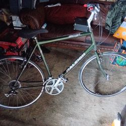 Raleigh Sc30 Bicycle 