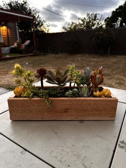 Succulent Planter boxes