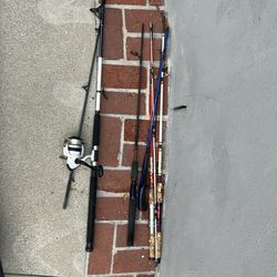 Fishing poles and reel