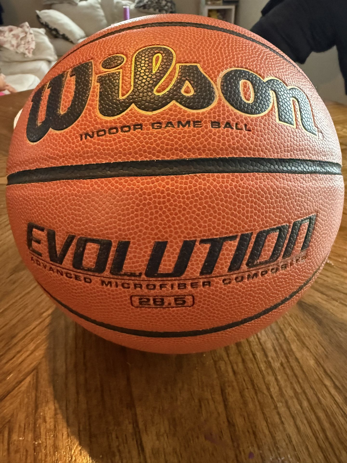 Wilson NBA Evolution Basketball 