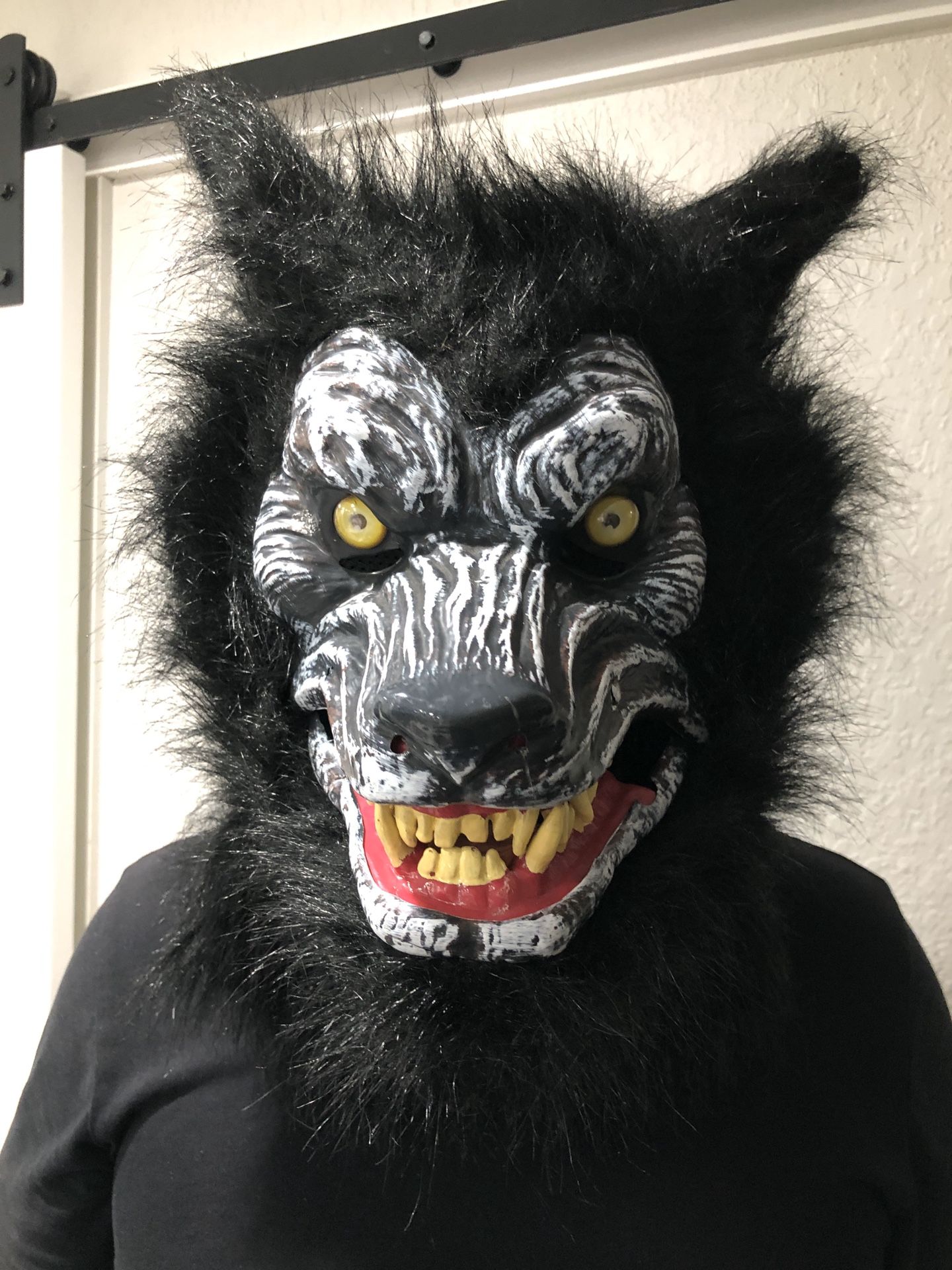 Very realistic looking wolf mask for Halloween or a costume party