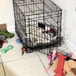 2 cadge for small dog and a corral