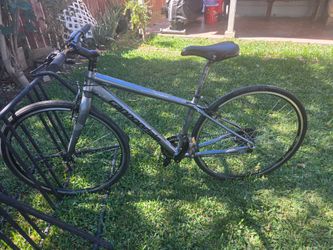 Cannondale Bicycle